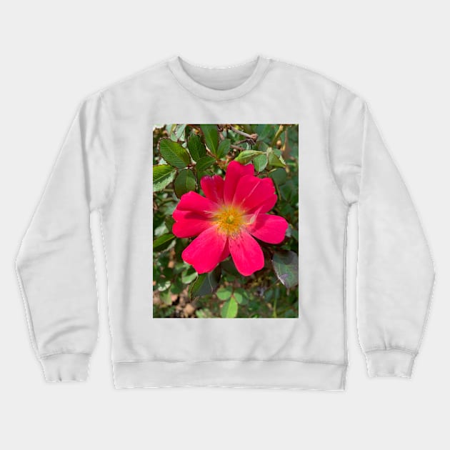 Pink rose flower Crewneck Sweatshirt by baksuart